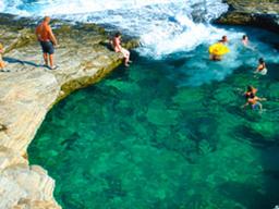 여름을 유영하다