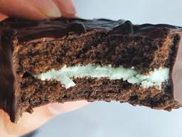 롯데에서 독점으로 팔아 호불호 갈린다는 신상