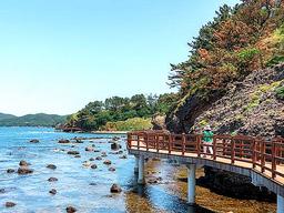 It’s 체리 타임! 6월 <strong>한정판</strong> 체험 새콤달콤한 체리 따러 포항으로