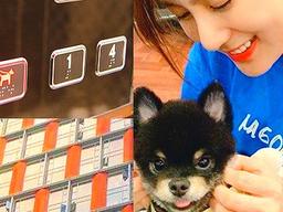 1000만 <strong>보호자</strong>들 설레게한 반려동물 특화 주택의 내부 모습