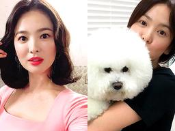 송혜교가 SNS 사진 하나 올리면 통장에 입금되는 금액, 이 정돕니다.