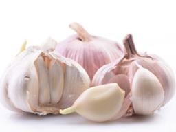 “‘<strong>마늘</strong>껍질’, 인삼보다 좋은 거 모르셨죠?”