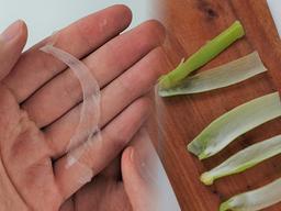 채칼 없어도 됩니다! 고깃집 ‘양파채’ 집에서도 쉽게 만드는 방법 (feat.파채도 가능)