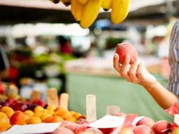 “식물성 식품 구입에 정서적 이점도 생각하기 시작”