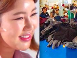 <strong>송가인</strong>까지 내세웠지만… 스포츠용품으로 승승장구했던 브랜드의 몰락