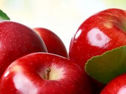 사과의 효능, 매일 사과를 먹어야 하는 10가지 이유