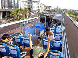 ‘제발 그만 오세요’ 현지인들조차 경악한다는 제주도 <strong>관광지</strong>의 상황