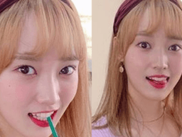 “말하기 미안할 정도” 코로나 확산으로 돈 쓸어담고 있다는 업계