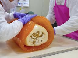 ‘정교한 기술’ 볼수록 빠져드는 놀라운 막대<strong>사탕</strong> 만드는 과정