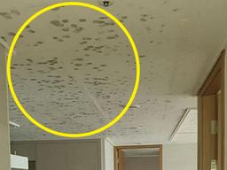 “보기만 해도 온몸 간지러워” 네티즌 경악시킨 역대급 하자 <strong>아파트</strong>