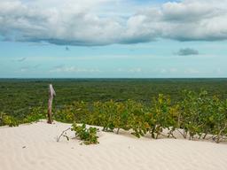 [ESC] 지구에서 가장 하얀 <strong>사막</strong>에 비가 내리면
