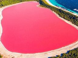 ‘합성 아닌가요’ 보고도 믿기지 않는 호주의 핑크빛 여행 스팟