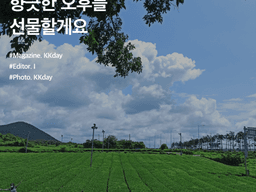 제주 오설록 티<strong>뮤지엄</strong> :: 향긋한 오후를 선물할게요