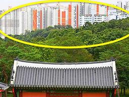 “3천가구 부숴야 한다” 완공 앞두고 철거위기 놓인 20층 아파트