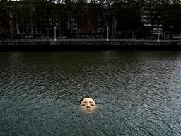 자고 일어나니 호수에 얼굴 둥둥···주민들 놀래킨 '소녀' 정체