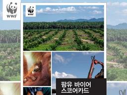 “지속가능하지 않은 팜유 산업, 자연 위기 초래”