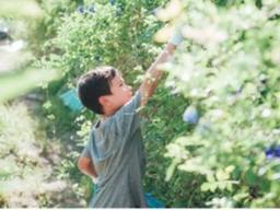 홍콩 호텔들의 ‘팜케이션’ 전략