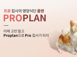 ‘고민 말고 Pro 집사 되기’ 네슬레 퓨리나, 비대면 소통 서비스 ‘ProPlanner’ 오픈