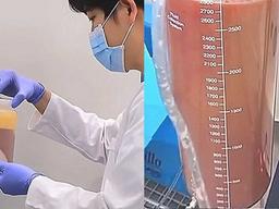 ‘1킬로당 2억’ 금보다 비싼데 매년 500톤 땅에 버리고 있었습니다