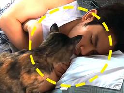 늦잠 자는 <strong>집사</strong> 옆에서 냥이가 보인 놀라운 행동…”이렇게까지?”