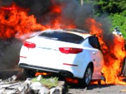 “벌금만 830만원” 운전 중 절대 박으면 안 되는 것 1위는?