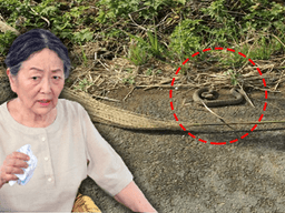 귀어<strong>귀촌</strong>은 낭만생활? 1년도 안돼 다시 도심으로!!