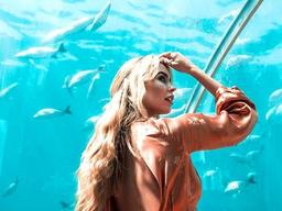 “1박에 6천만원” 몰디브에서만 볼 수 있다는 ‘수중 호텔’ 실제 모습