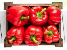 마스크 답답함에 <strong>입냄새</strong>까지? 오늘부터 먹자! ‘<strong>입냄새</strong> 예방 식품’