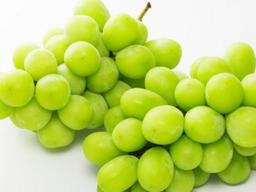 라오스-중국 <strong>철도</strong> 개통, 한국 신선식품 확대도 기대