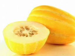 한국 <strong>참외</strong>, 베트남에서 유망 품목