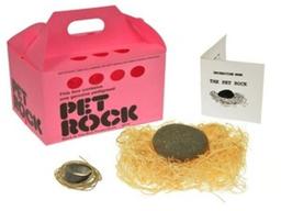 요즘은 돌도 키운답니다