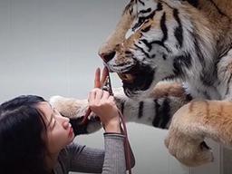 대한민국에 0.0001% 1년에 한 명 뽑힐까 말까 한다는 이 직업