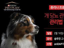 ‘당뇨로 고통받는 반려견’ 네슬레 퓨리나, 프로플랜 웨비나 강연