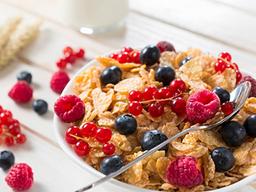 아침을 안 먹으면 정말 살이 빠질까? 간헐적 단식의 ‘충격적인’ 연구 결과