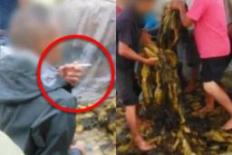 “중국 알몸 김치공장 영상 공개된지 1년 뒤, 현실은 이렇습니다”