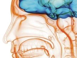 외상만큼 치명적, 치매 부르는 이 습관…뇌 젊게하는 6가지