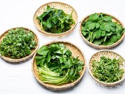 봄나물 잘못 먹으면 ‘독<strong>나물</strong>’...올바른 섭취법은?