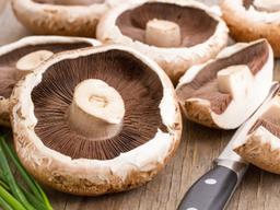 양송이버섯을 구우면 나오는 물은 무엇일까?