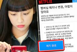 11년만에 가입자 줄어든 넷플릭스, 진짜 이유 따로 있었다