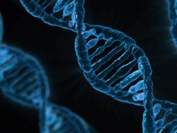 공짜 <strong>유전자</strong> 검사! 제가 해봤습니다