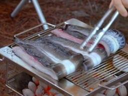 “6월 제철 ‘장어’ 알고 먹읍시다!”