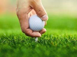 대기업 회장님들의 ‘덕업일치’...그들이 <strong>골프공</strong>에 빠진 이유는?