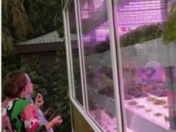 두바이 유명 호텔들, 수직농장 설치해 음식 제공