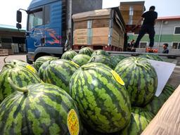 입 떡 벌어지는 <strong>수박</strong> 가격…OO가 주범입니다