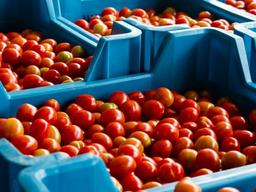 “푸드마일, 예상보다 <strong>기후</strong><strong>위기</strong>에 영향 커”