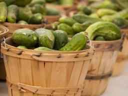 ‘<strong>못난이</strong> 농산물, 의무적 사용’ 스페인 법안 발표