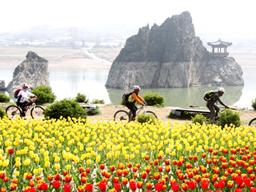 “돈 받고 <strong>여행</strong>가자”…관광객에 현금 쏘는 지자체들