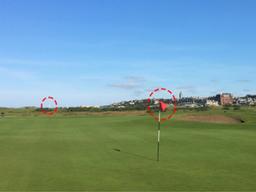 거꾸로 돌고 싶다던 <strong>우즈</strong>···왜?