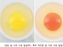 일본, 현지 쌀을 이용한 산란계 <strong>사료</strong> 개발