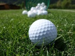 우리가 미스 샷을 하는 이유 10가지